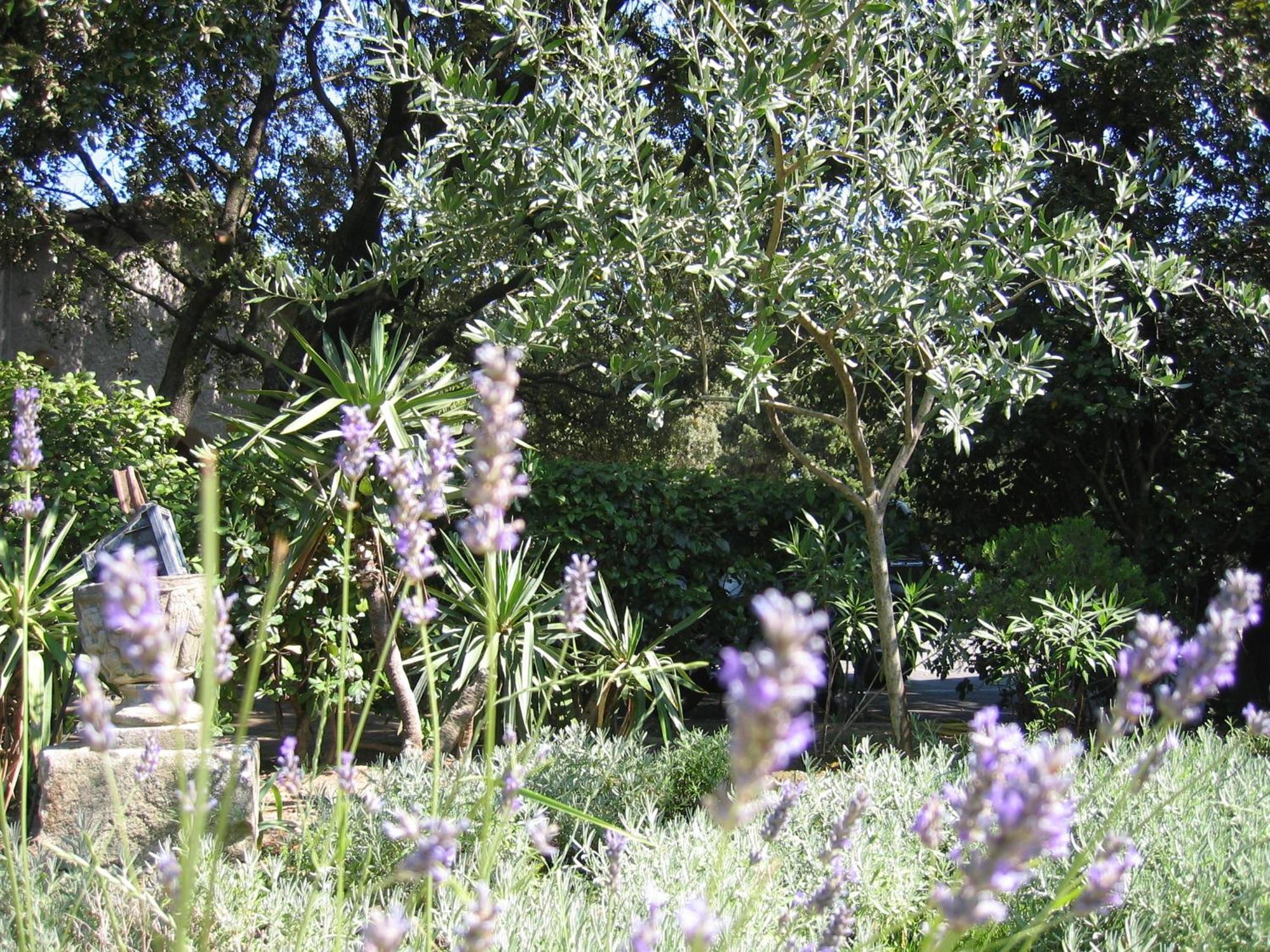 Le Petit Manoir Logis Hotel Les Angles  Bagian luar foto